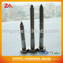 DIN7981 Series M6 Stainless Steel Screw